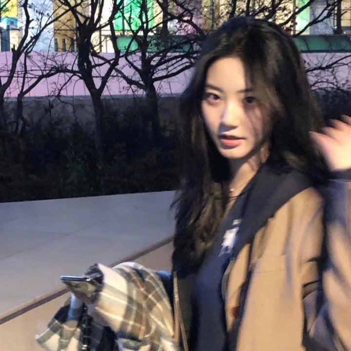 菠萝蜜之谜